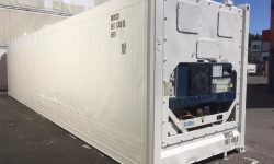 50ft Refrigerated Container